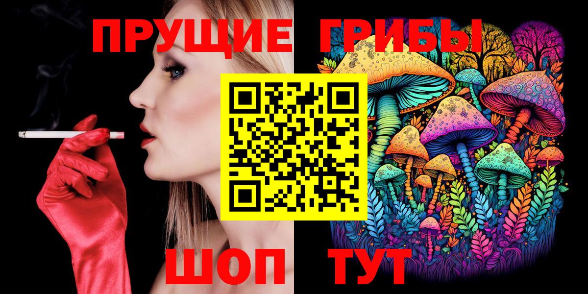 Галлюциногенные грибы Psilocybe Амурск